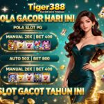 TigerBet388 Pola Slot Jackpot Terbaik Untuk Pemula