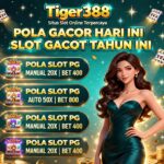 Tiger388 Slot APK Ovo Terpercaya Deposit Cepat